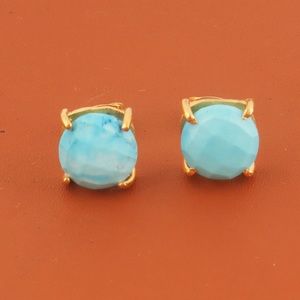 Sundance Gold and Blue Earrings